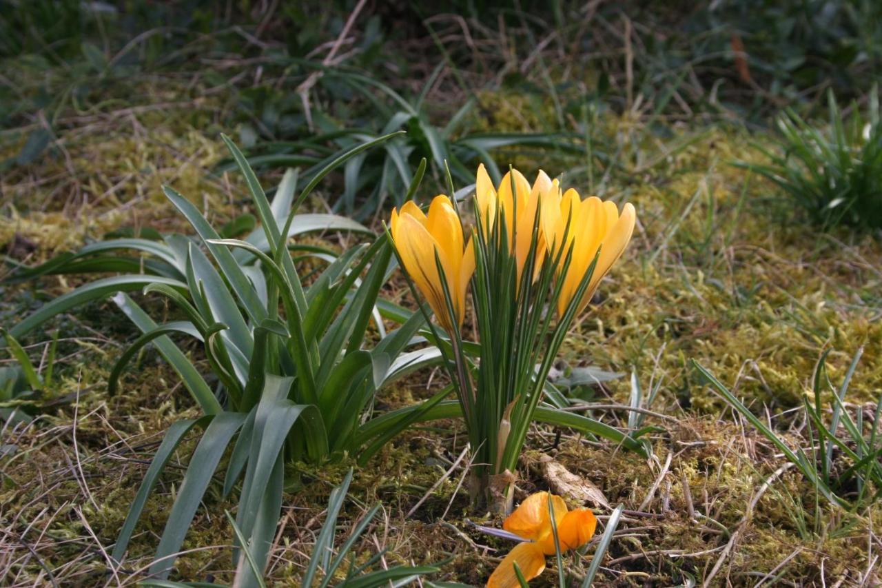 De Bron Heverlee Esterno foto